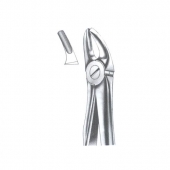 Extarcting Forceps 